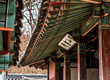 안동