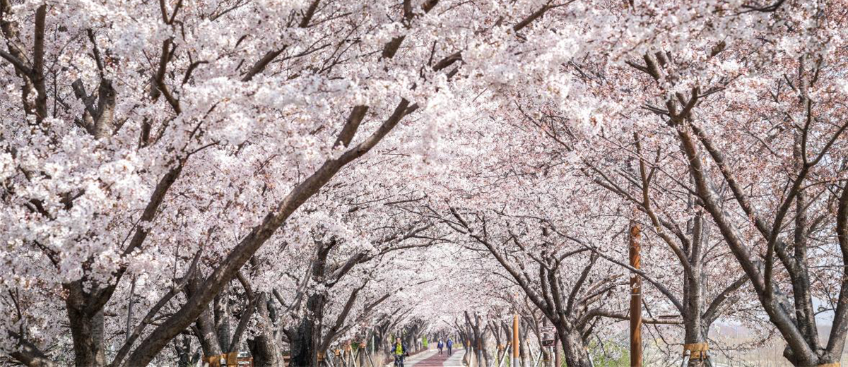 부산 사상구
