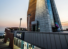 울산 동구